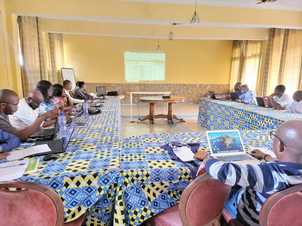 Renforcement de la distribution